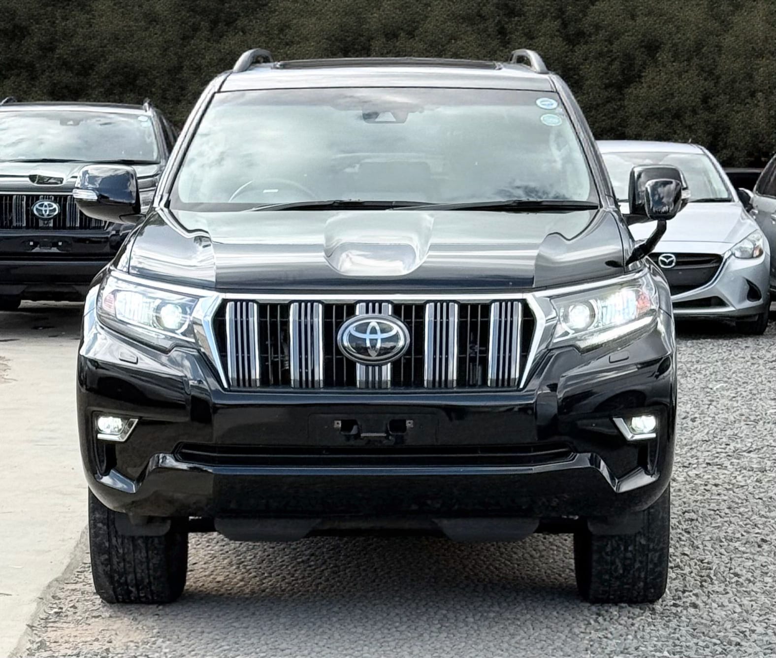 Toyota Prado TX