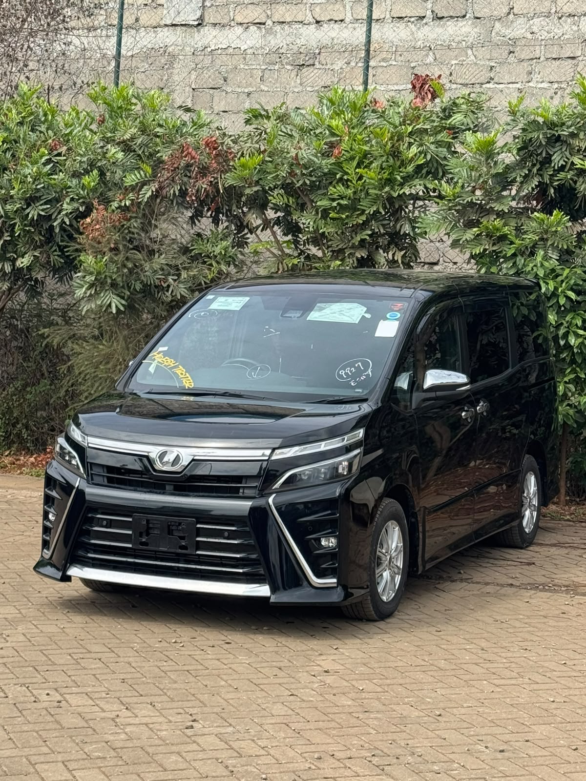 TOYOTA VOXY