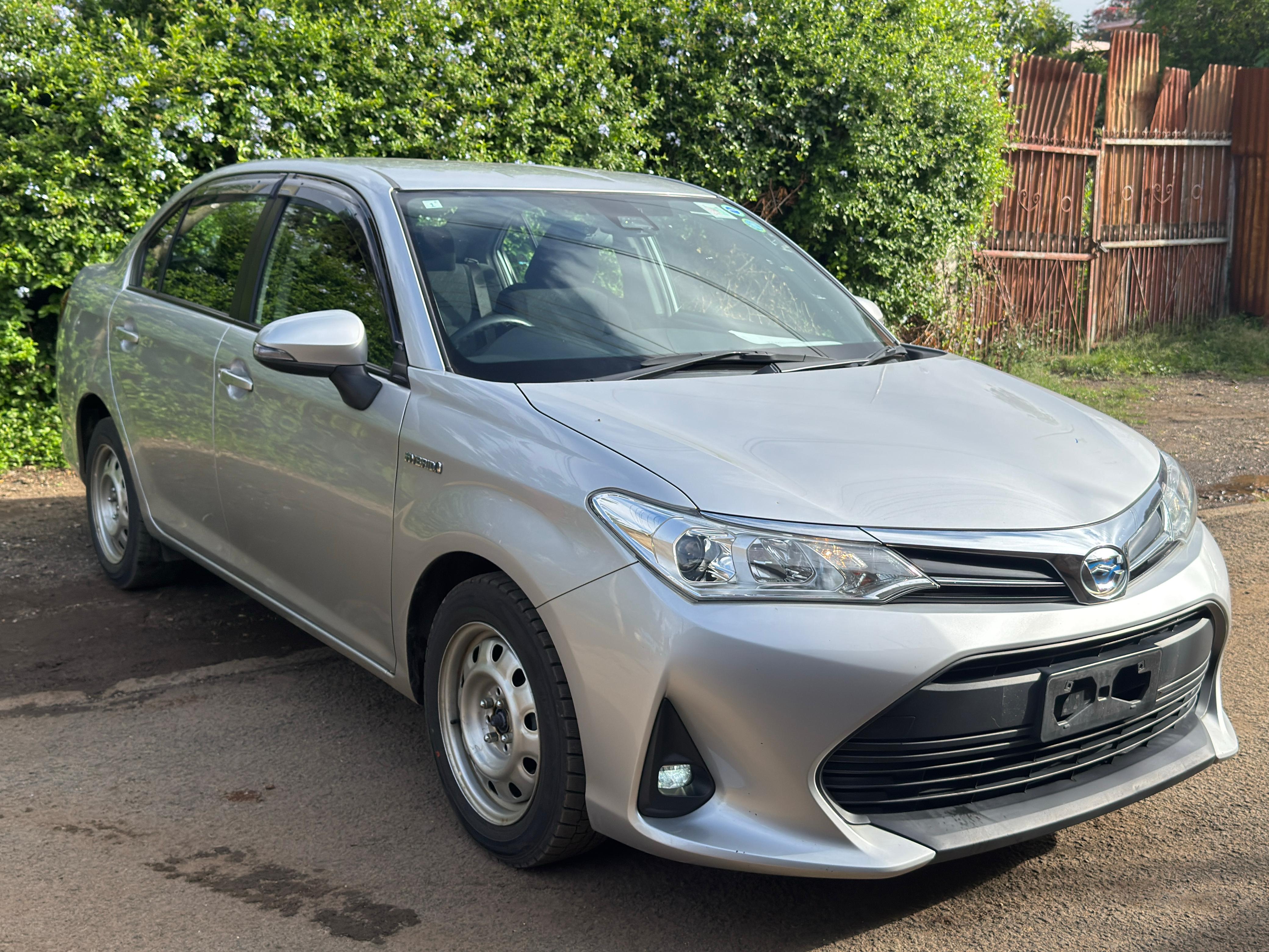 Toyota axio 2019